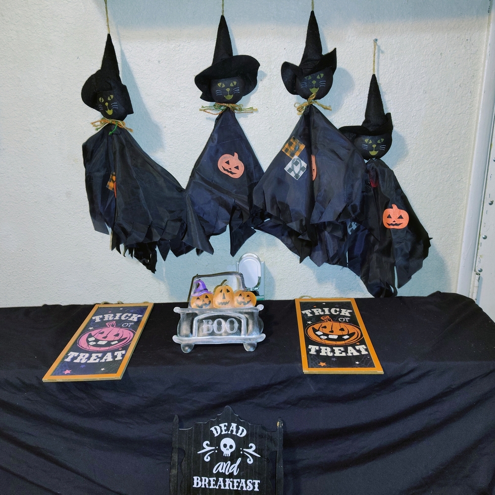 As U Wish Black Cat Witch Costume for Kids